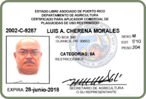 Certificación